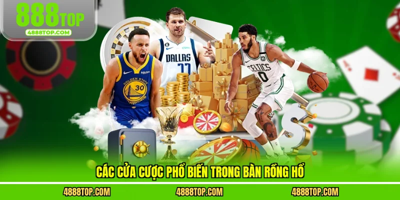 Các cửa cược phổ biến trong bàn rồng hổ