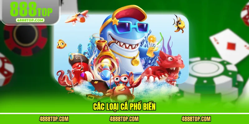 Các loại cá phổ biến 