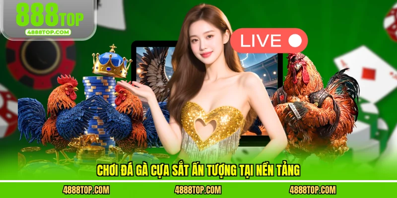 Chơi đá gà cựa sắt ấn tượng tại nền tảng