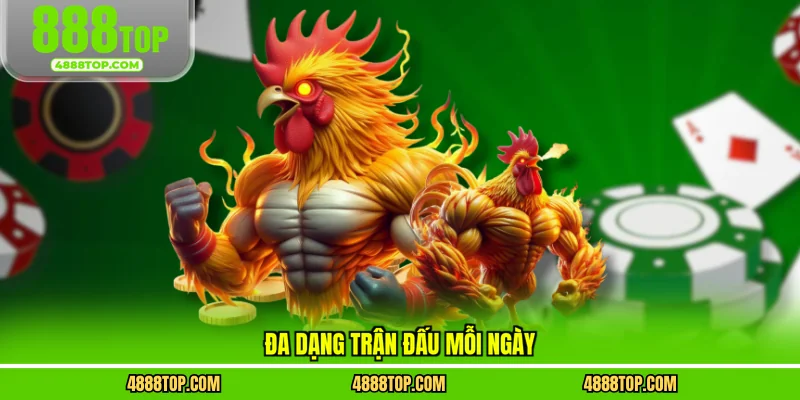 Đa dạng trận đấu mỗi ngày