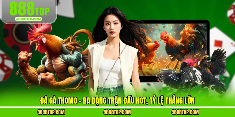Đá gà thomo