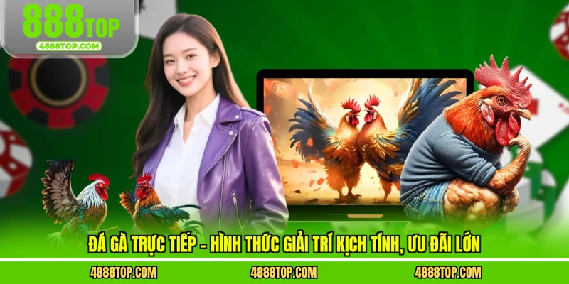 Đá gà trực tiếp