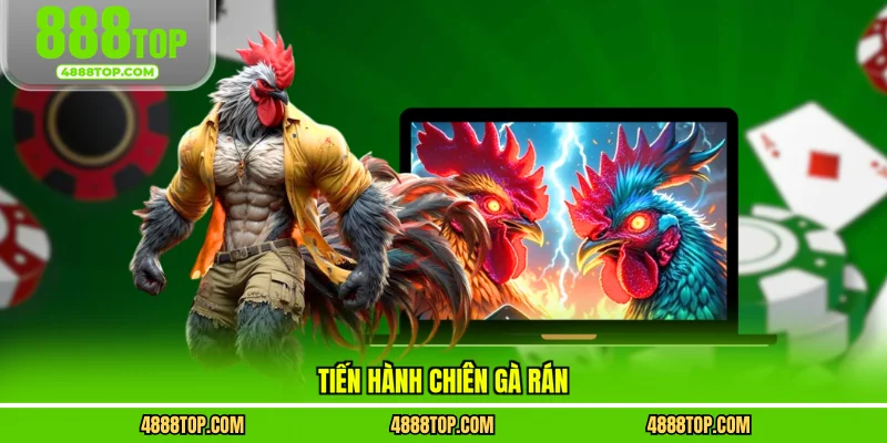 Tiến hành chiên gà rán