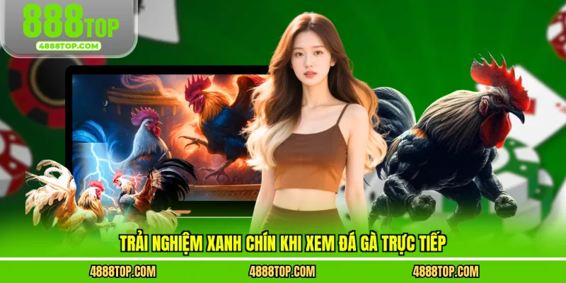 Trải nghiệm xanh chín khi xem đá gà trực tiếp