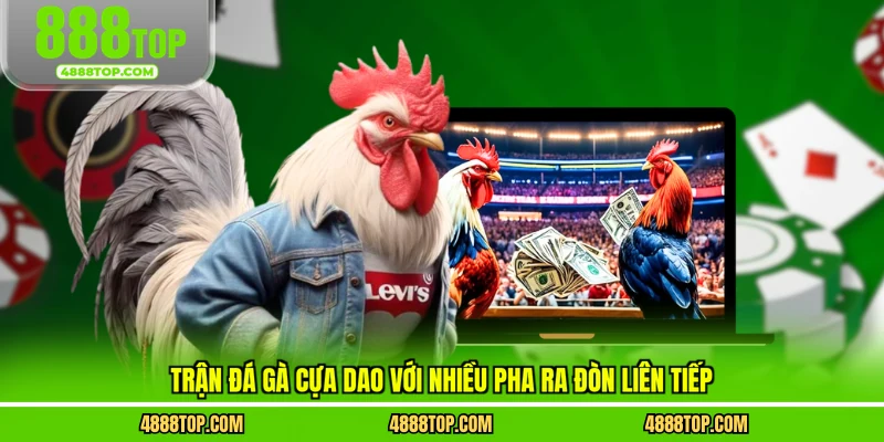 Trận đá gà cựa dao với nhiều pha ra đòn liên tiếp