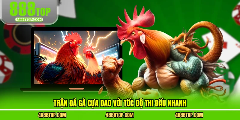 Trận đá gà cựa dao với tốc độ thi đấu nhanh
